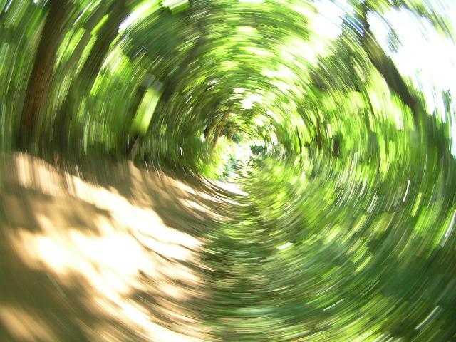 c0034595_11273119.jpg