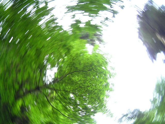 c0034595_11285036.jpg
