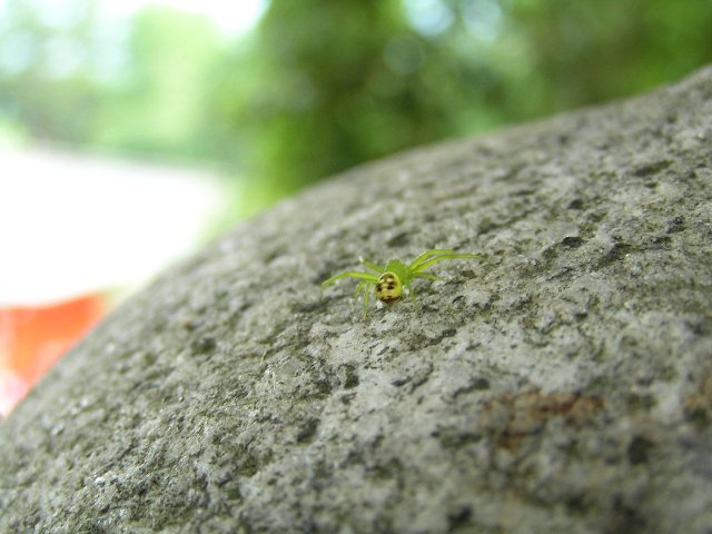 c0034595_11373317.jpg