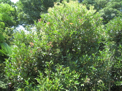 f0135295_21134985.jpg