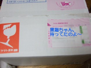 b0087400_23323857.jpg