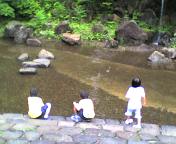 c0071003_10382879.jpg