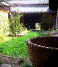 d0077603_14475664.jpg