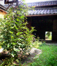 d0077603_14564116.jpg