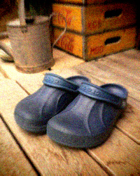 d0077603_15254035.jpg