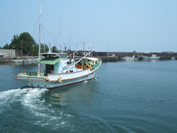f0048405_133028.jpg