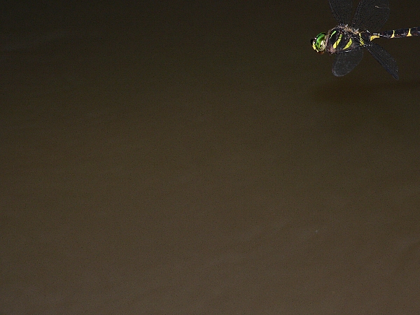 e0002314_2236483.jpg