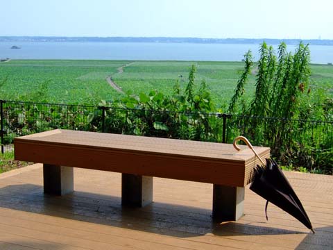 f0147025_21263737.jpg