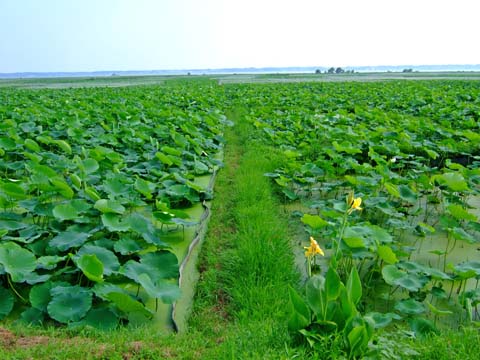 f0147025_21291531.jpg