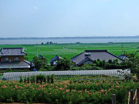 f0147025_21531092.jpg