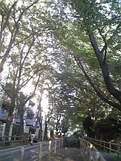 f0043627_1013579.jpg