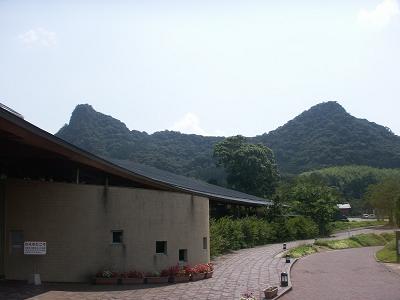 d0121046_178139.jpg