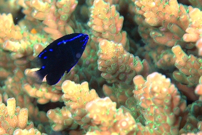 e0027447_1551386.jpg