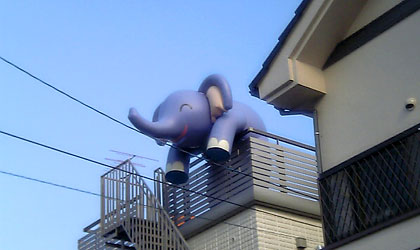 c0039153_19215991.jpg