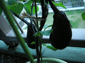 b0043757_23592150.jpg