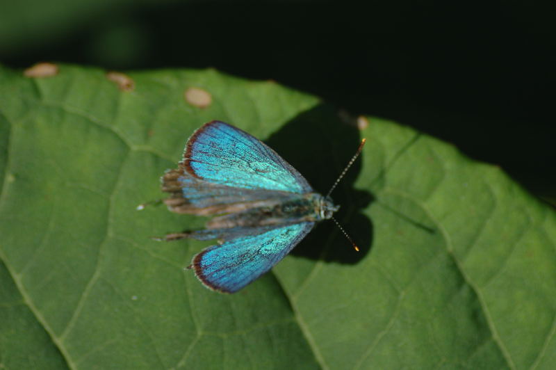 d0098057_8455499.jpg