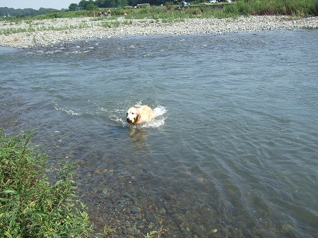 c0097558_4141690.jpg