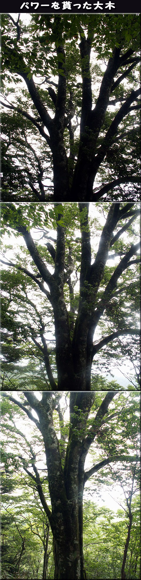 f0104569_23243788.jpg