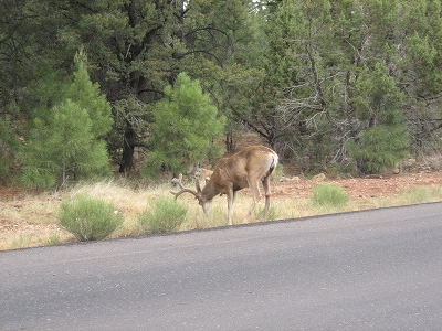 e0015270_112171.jpg