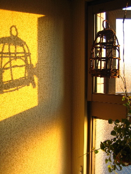 c0070372_11444750.jpg