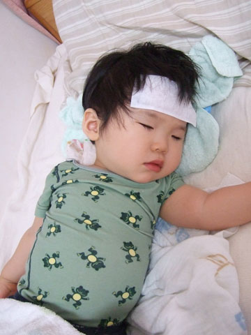 f0070875_23381569.jpg