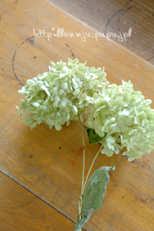 c0051385_131519.jpg