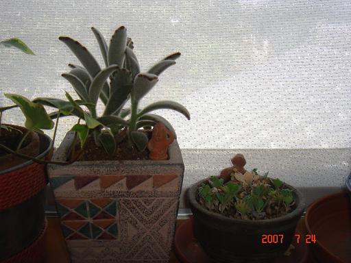 e0002891_1236506.jpg