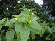 f0130894_22302998.jpg