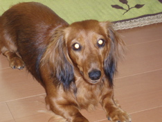 f0130894_23434139.jpg