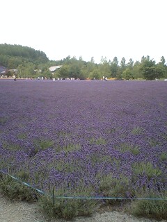 b0052195_23173766.jpg