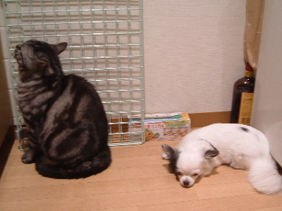 a0079803_141026.jpg