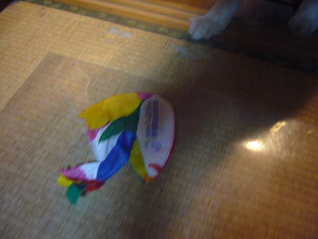 e0018604_13202678.jpg