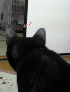 c0027311_13425886.jpg