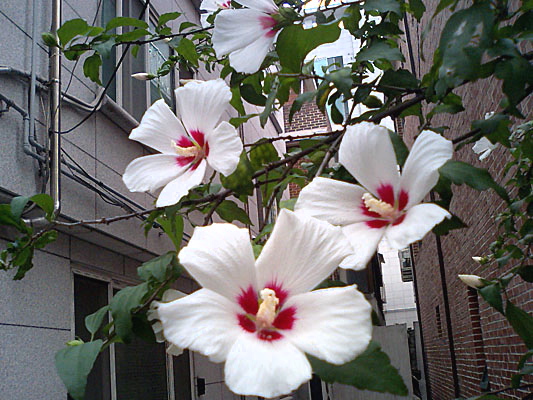 a0101715_2394790.jpg