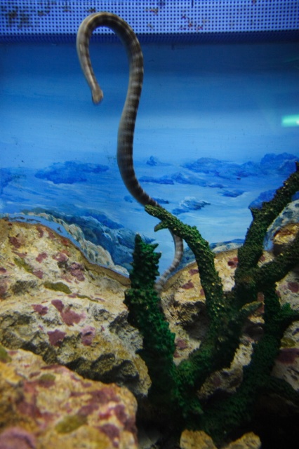 c0089419_2357754.jpg