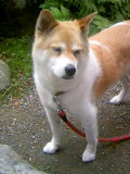 d0087919_2156425.jpg