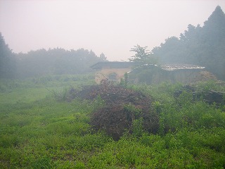e0103719_7511642.jpg