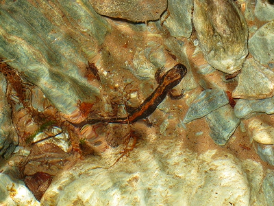 e0002820_2353180.jpg