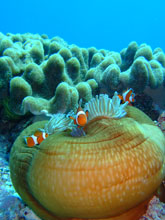 e0002927_20412161.jpg