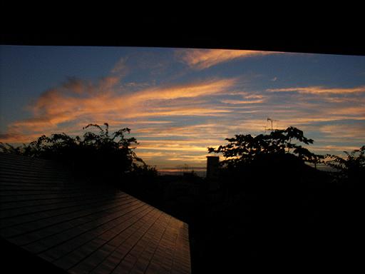 a0070831_8543343.jpg