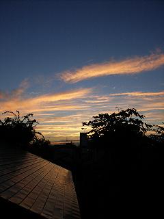 a0070831_903482.jpg