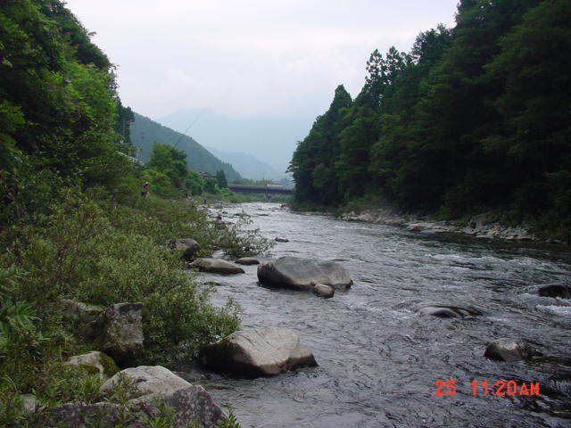 f0133551_21583955.jpg