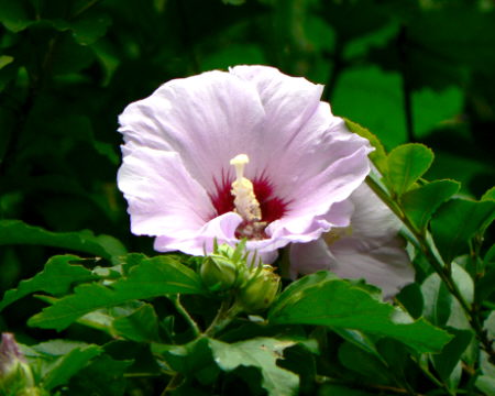 d0091754_0192052.jpg