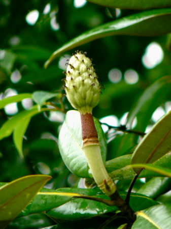 d0091754_0451757.jpg