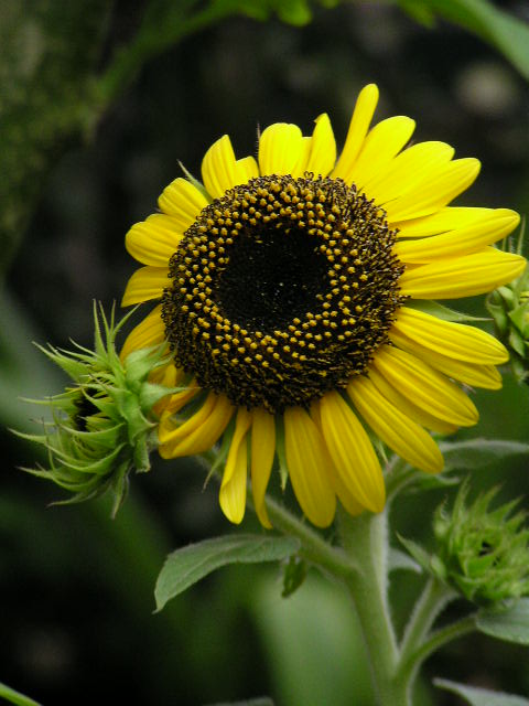 f0074659_23572024.jpg