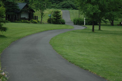c0050264_1159446.jpg