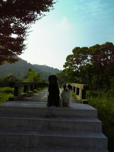 f0133681_05163.jpg