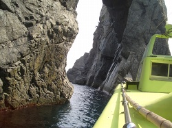 f0118282_21245214.jpg