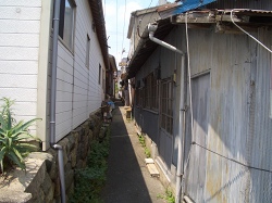 f0118282_21373155.jpg