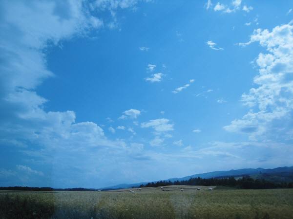 e0081584_2223697.jpg